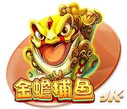 星空足球体育app